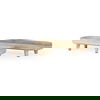 Carver Set of 2 Oblong White Washed Wood Footed Trays thumbnail 0