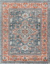 Davaro Machine Woven Rug, by Surya, 1'3.75" length x 1'3.75" width thumbnail