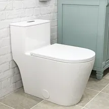 Online Designer Bathroom WM-91002 17" Comfort Height Dual-Flush Toilet Modern Elongated One-Piece Toilet for Floor Mounted Glazed Surface (Seat Included)