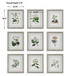 Antique Botanicals Framed Prints, S/9 thumbnail 2