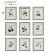 Antique Botanicals Framed Prints Set/9 thumbnail 2