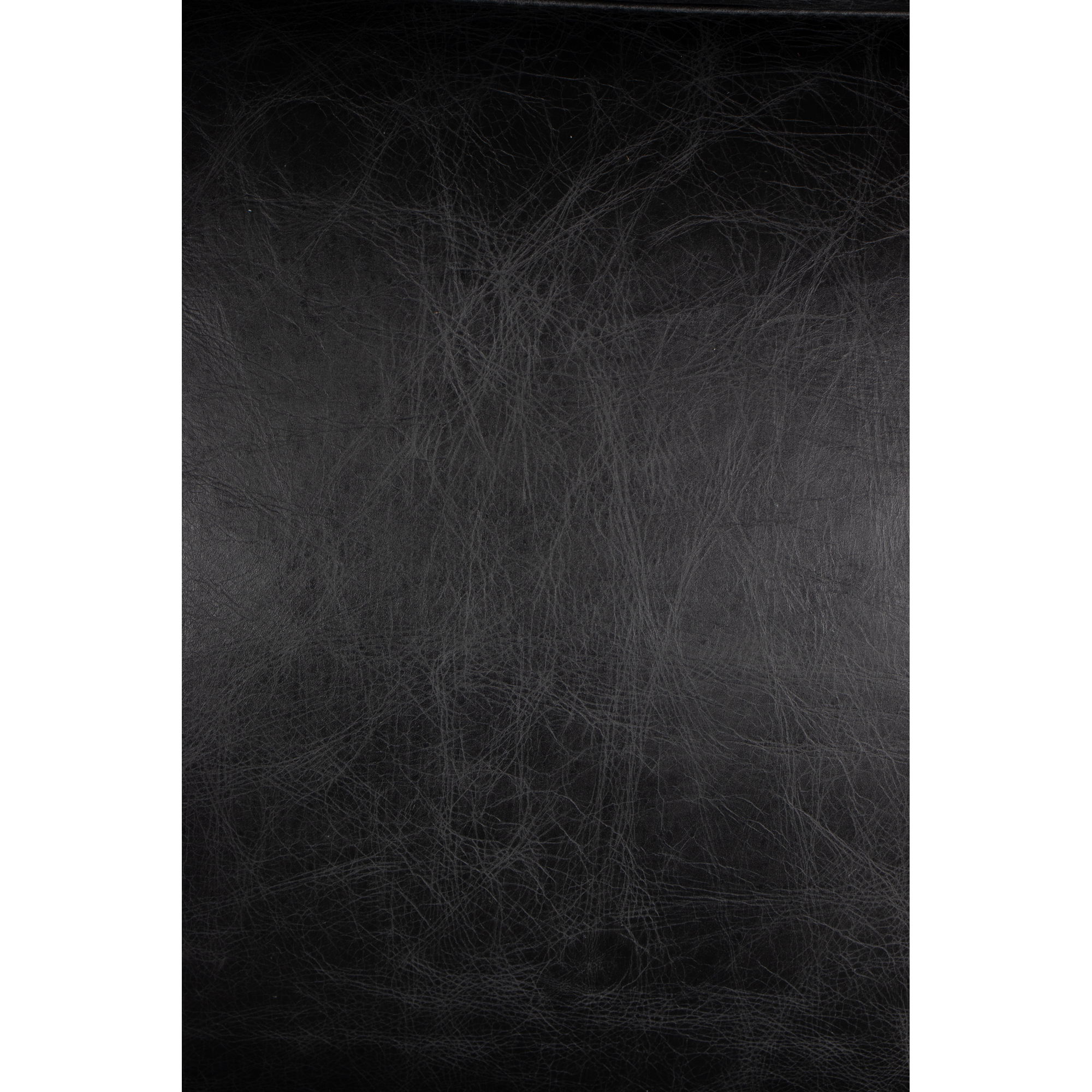 Paradiso Chair Black, Accent Chair by Moe's Home, 24.5" width x 38.5" height x 34.5" depth View 8