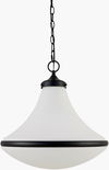 Olot Pendant, by Surya, 17" length x 17" width x 17" height thumbnail
