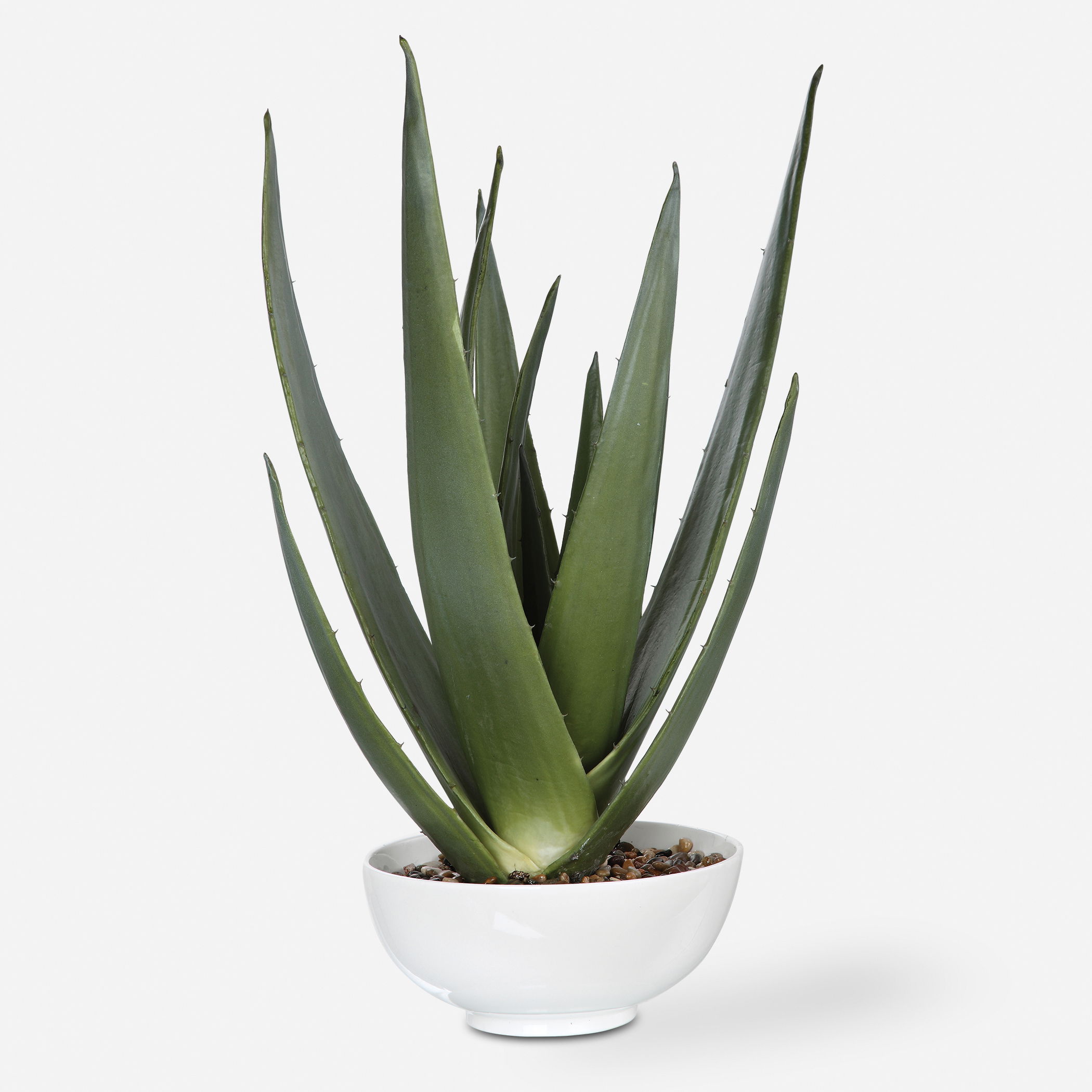 Evarado Aloe Planter large image 