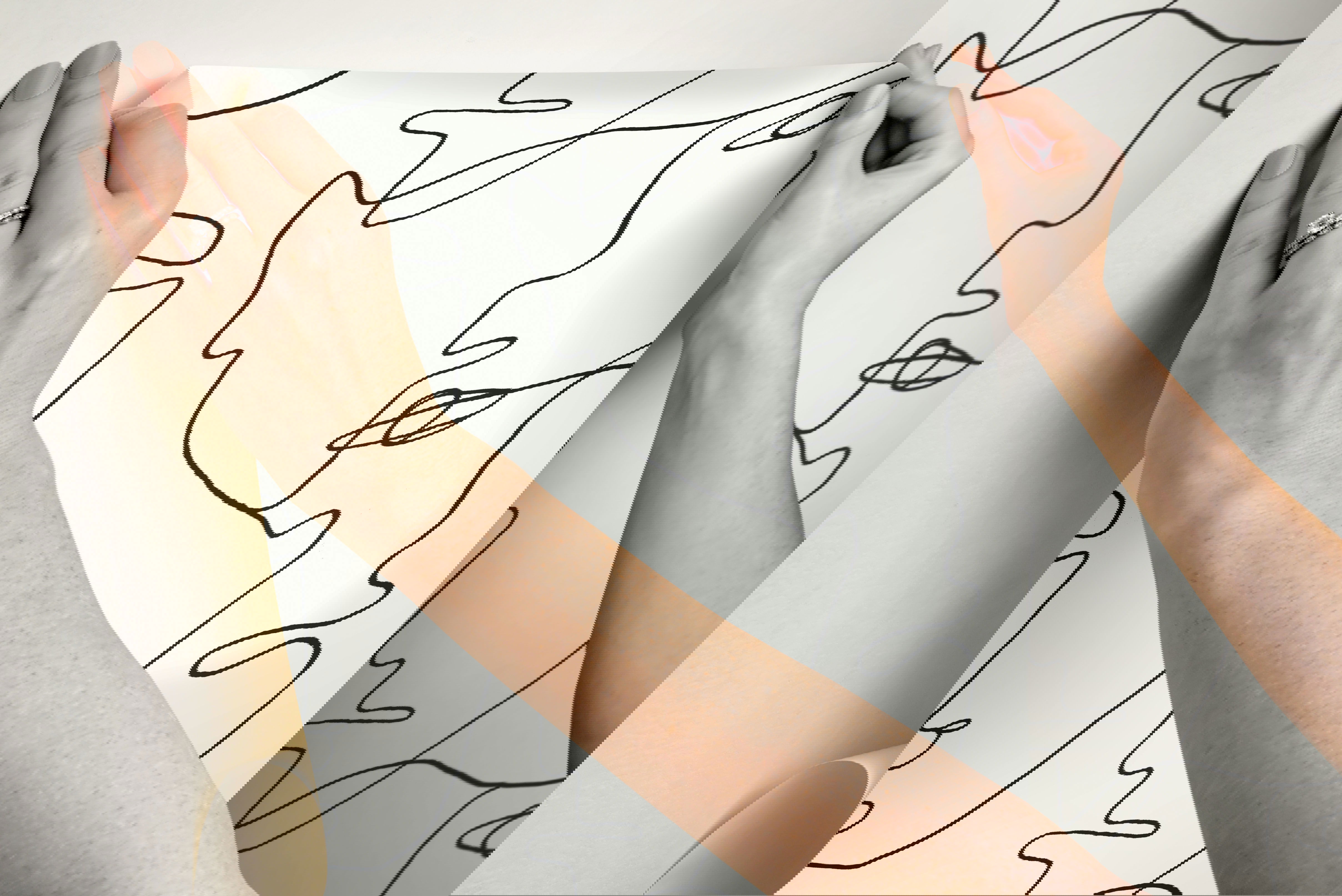 Pablo Portraits Black Peel & Stick Wallpaper, by York Wall, 20' length x 1'8.5" width x 0.02" depth View 5