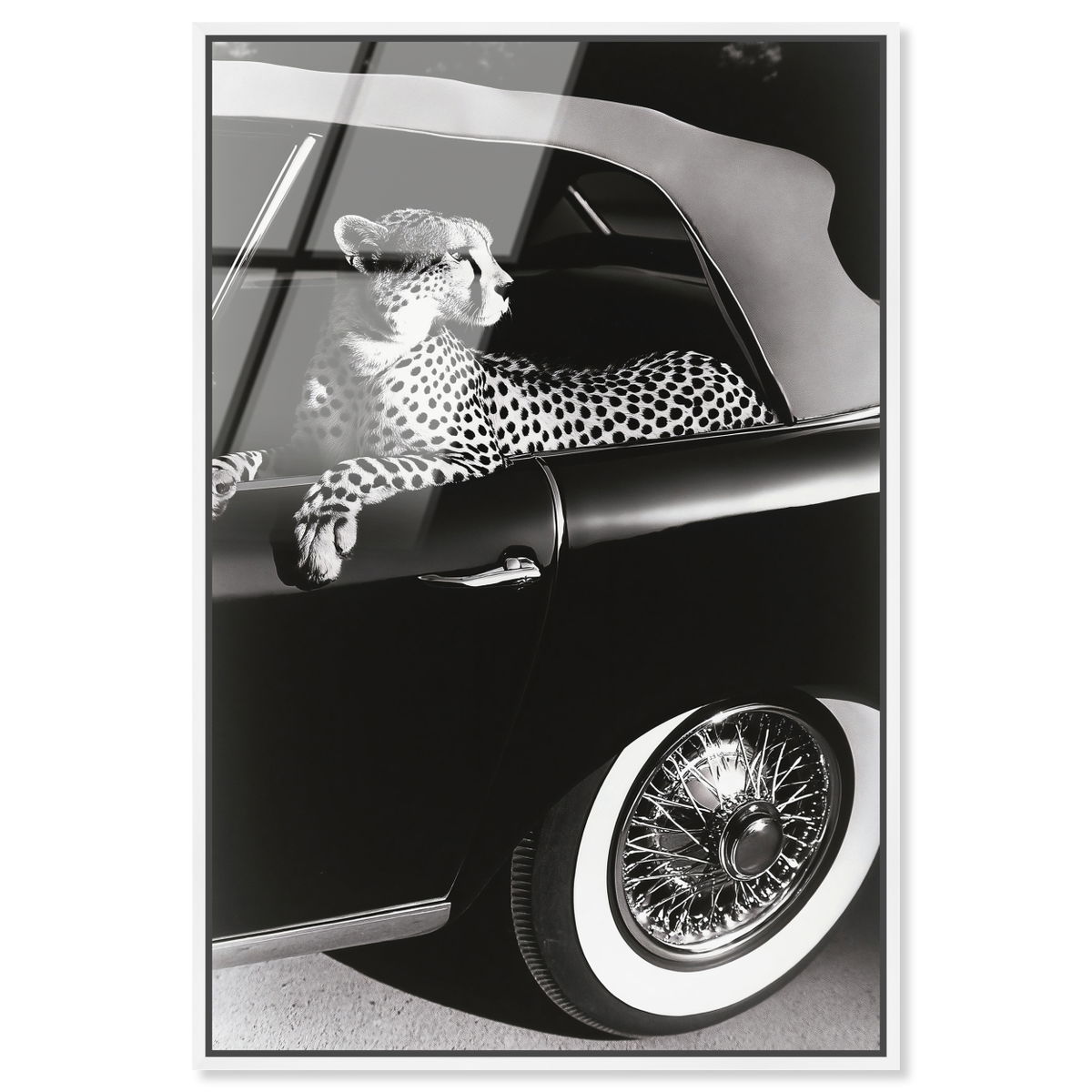 Convertible Feline I (No Embellishment), Art by Oliver Gal,  30x45 View 1