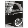 Convertible Feline I (No Embellishment), Art by Oliver Gal,  30x45 thumbnail 1