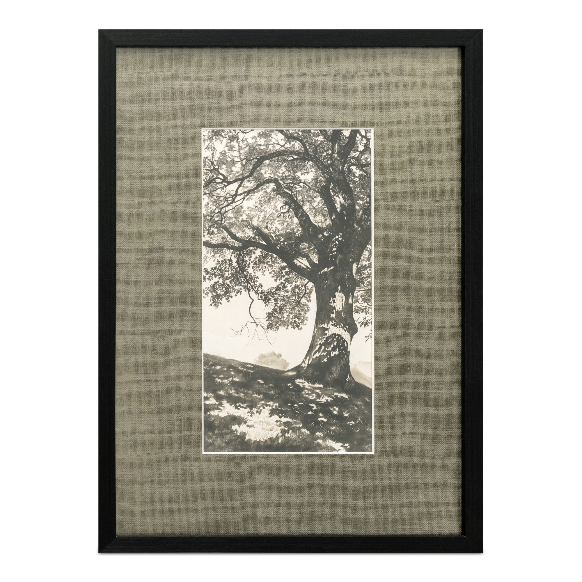 Arise Framed Print large image 