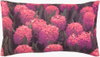 Decorative Pillows Lumbar Pillow, by Surya, 13" length x 20" width thumbnail