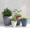 TruDrop Rim Modern Self Watering Planter, by Crescent Garden, 18" width x 18" height x 18" depth thumbnail 2
