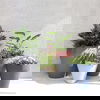 TruDrop Rim Modern Self Watering Planter, by Crescent Garden, 18" width x 18" height x 18" depth thumbnail 2