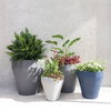 TruDrop Rim Modern Self Watering Planter, by Crescent Garden, 22" width x 22" height x 22" depth thumbnail 2