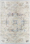Rivaldo Machine Woven Rug, by Surya, 10'0.08" length x 7'10.49" width thumbnail