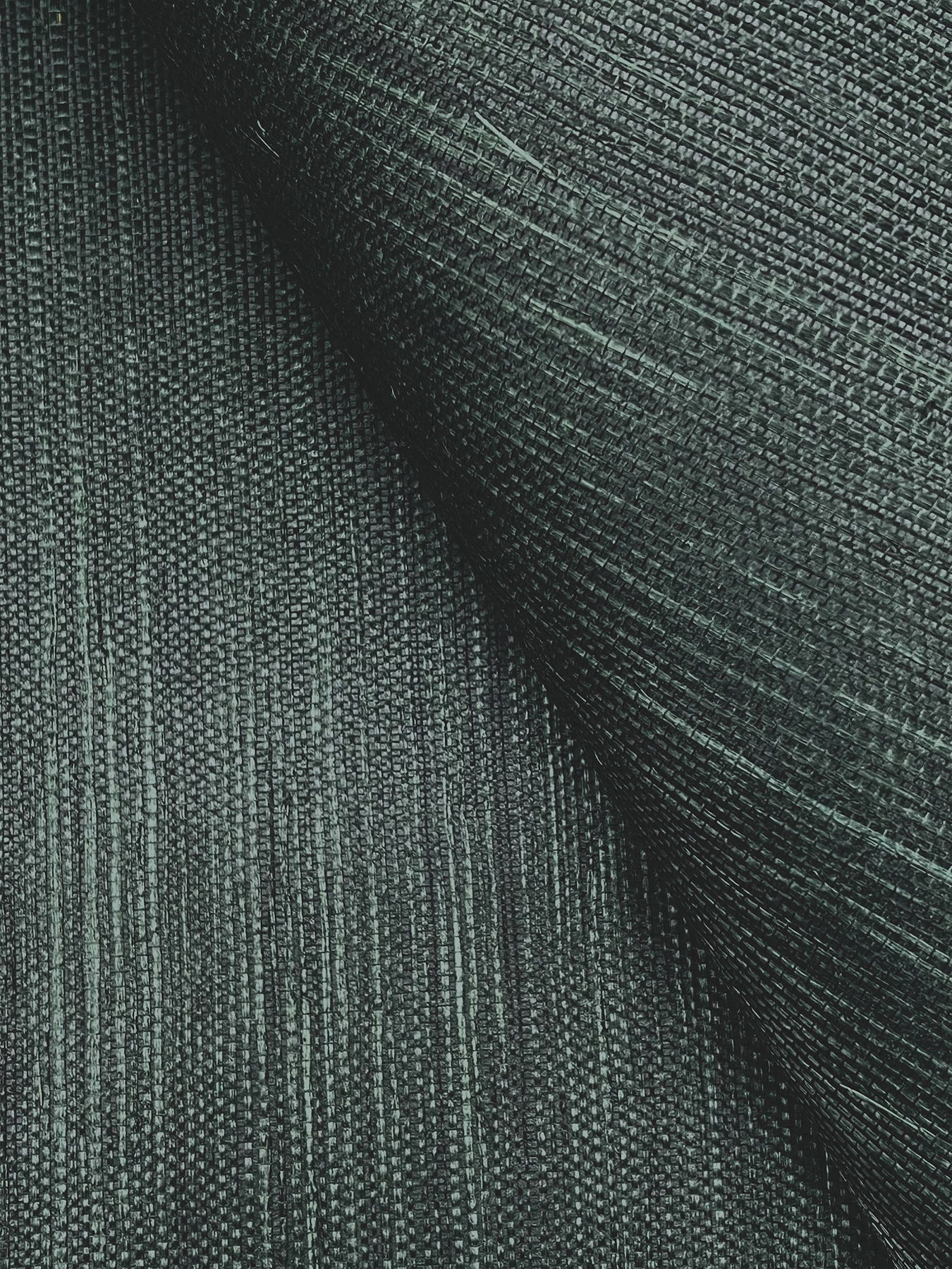 Maguey Sisal Hunter Wallpaper large image 