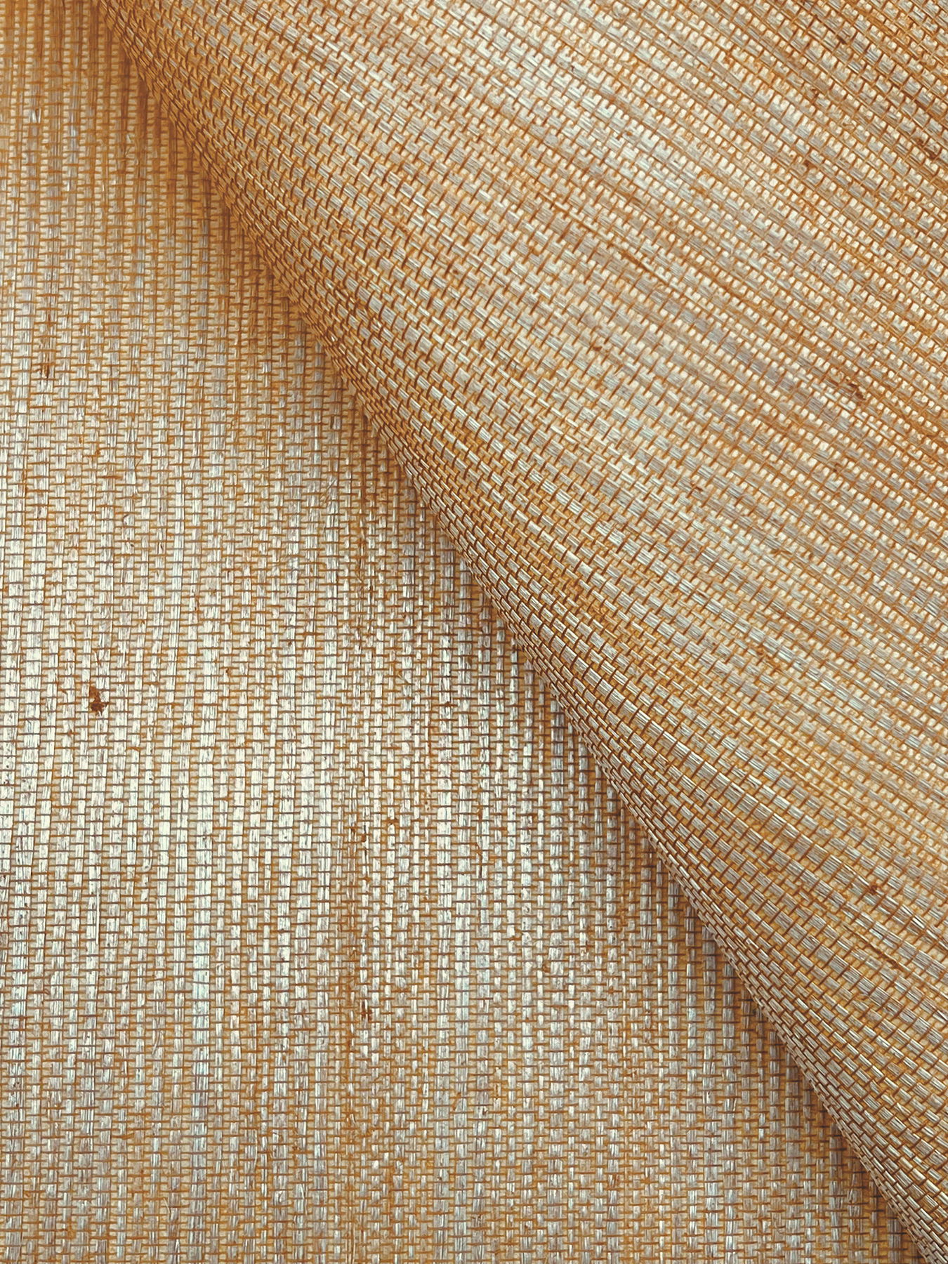 Maguey Sisal Dijon Wallpaper large image 