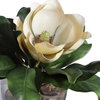 Celia Silk Magnolia Accent, Artificial Plants & Flower by Uttermost, 13" width x 11.75" height x 10.25" depth thumbnail 5
