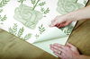 Seedlings Green Peel & Stick Wallpaper thumbnail 4