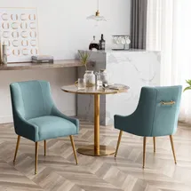 Online Designer Dining Room Elian Velvet Side Chair Dining Chair (Set of 2)