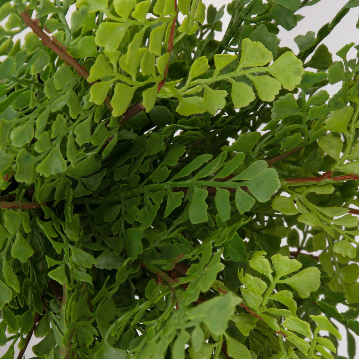 Maidenhair Fern In Oxidized Container, Artificial Plants & Flower by Uttermost, 14" width x 14" height x 14" depth View 3