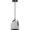 Handler Ceiling Fixture thumbnail 0