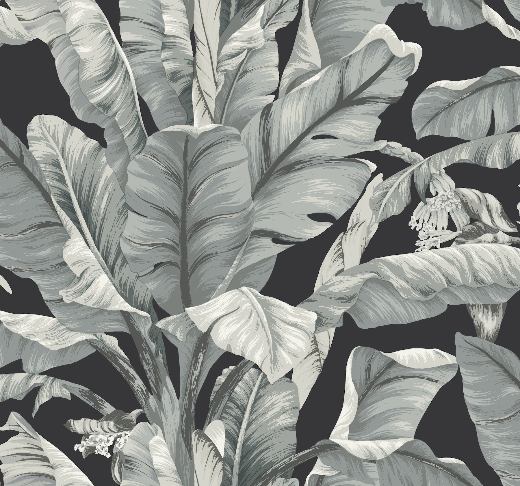 Banana Leaf Black & White Wallpaper large image 