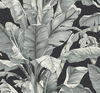 Banana Leaf Black & White Wallpaper thumbnail 0