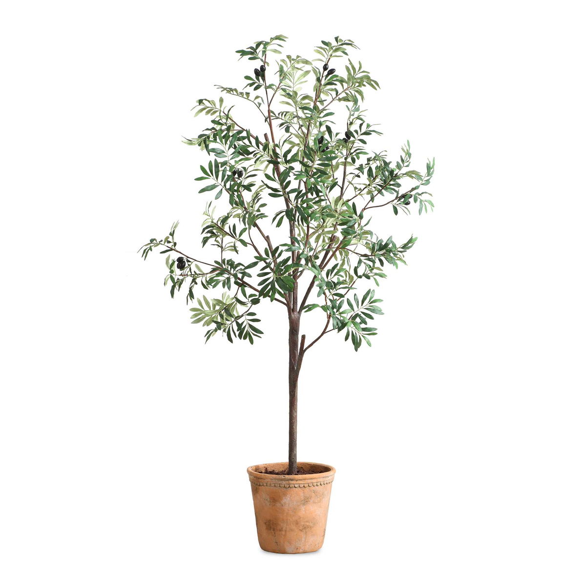 Olea Potted Olive Tree, Artificial Plants & Flower by Uttermost, 29.25" width x 67" height x 29.25" depth View 1