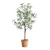 Olea Potted Olive Tree, Artificial Plants & Flower by Uttermost, 29.25" width x 67" height x 29.25" depth thumbnail 1
