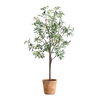 Olea Potted Olive Tree, Decorative by Uttermost, 29.25" width x 67" height x 29.25" depth thumbnail 1