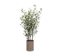 Online Designer Kitchen Faux Potted Cornus Tree In Terracotta Planter, 7'