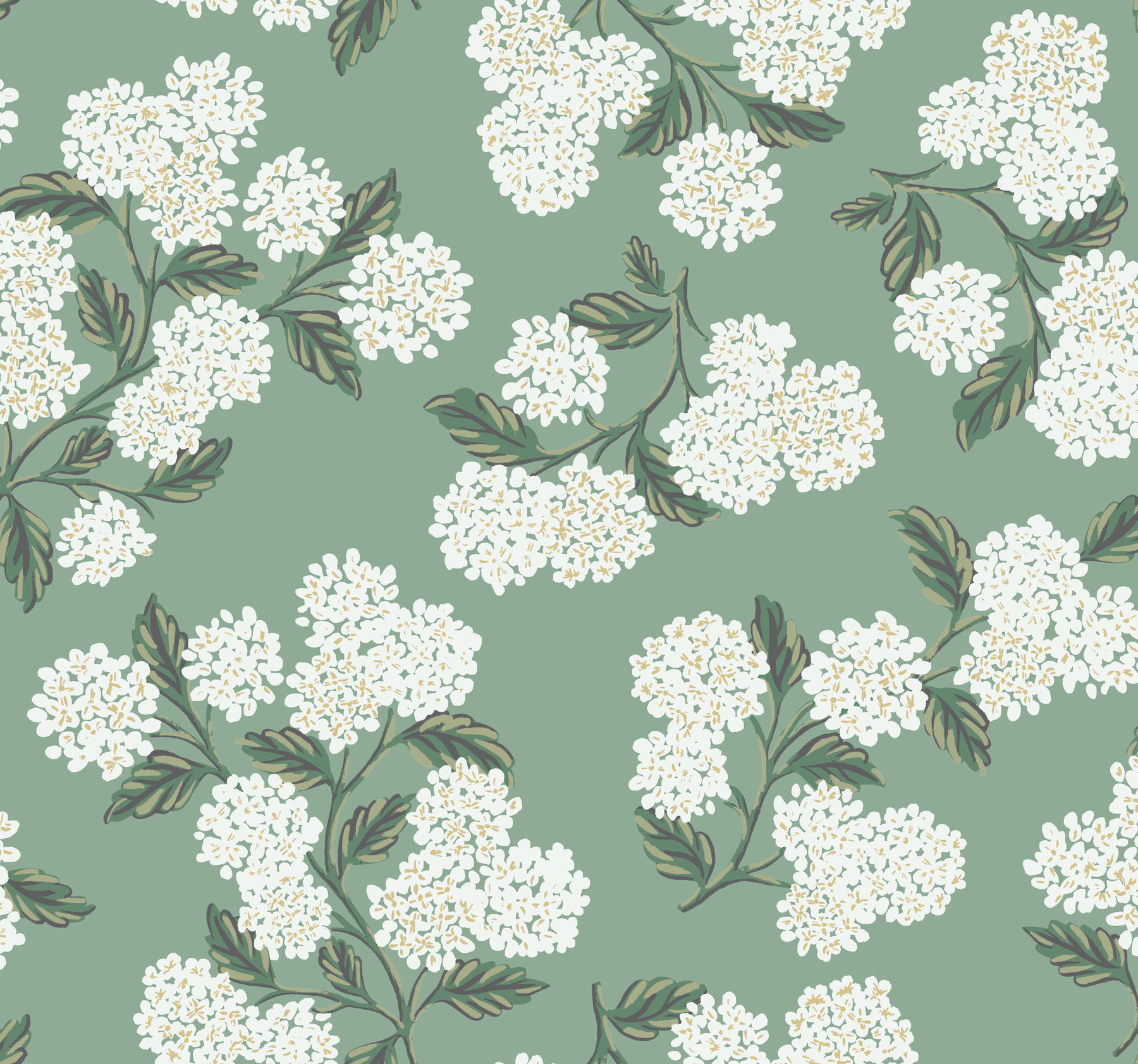Hydrangea Jade Wallpaper Hydrangea Jade Wallpaper large image