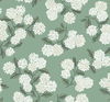 Hydrangea Jade Wallpaper 0 Hydrangea Jade Wallpaper thumbnail 0
