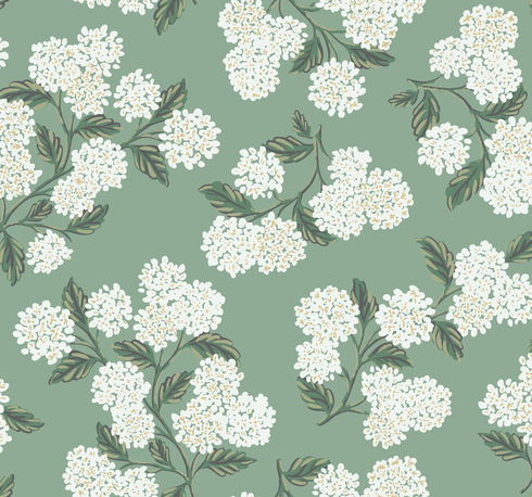 Hydrangea Jade Wallpaper