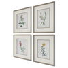 Heirloom Blooms Study Framed Prints Set/4 thumbnail 3