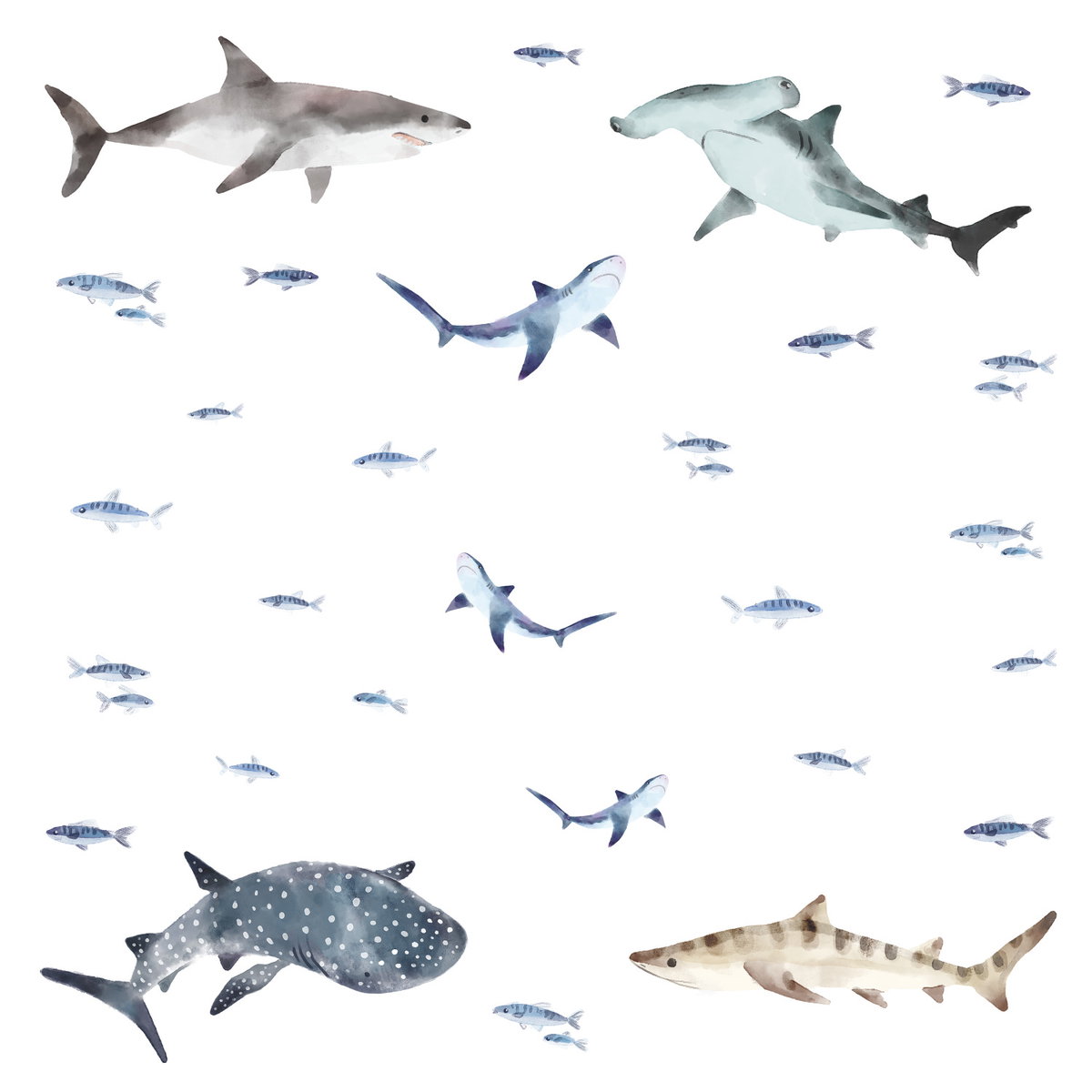 Sharks Wall Decals, by York Wall, 1'4.8" length x 9" width x 0.02" depth