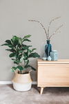 Textile Sisal Grasscloth Dark Grey Wallpaper thumbnail 1