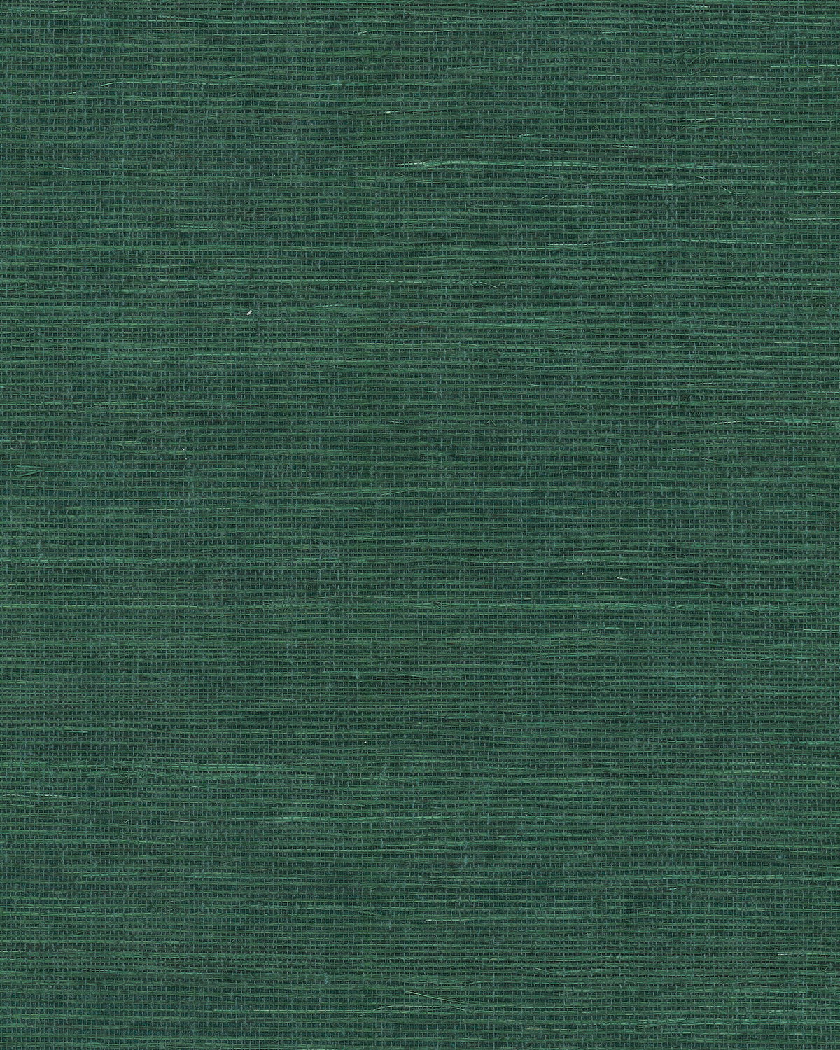 Maguey Sisal Forest Wallpaper, by York Wall, 24' length x 3' width x 0.02" depth View 2