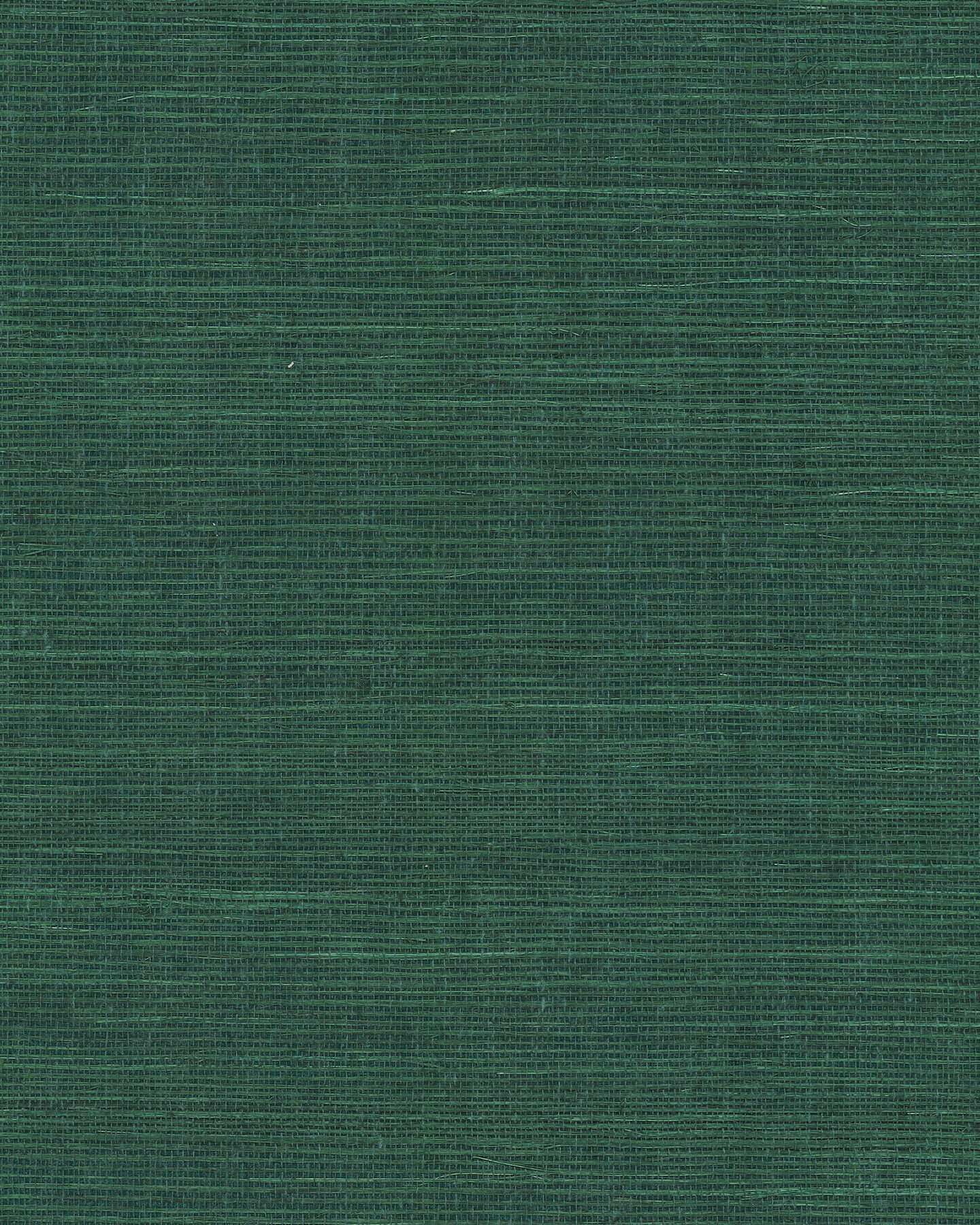 Maguey Sisal Forest Wallpaper large image 