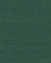 Maguey Sisal Forest Wallpaper thumbnail 0