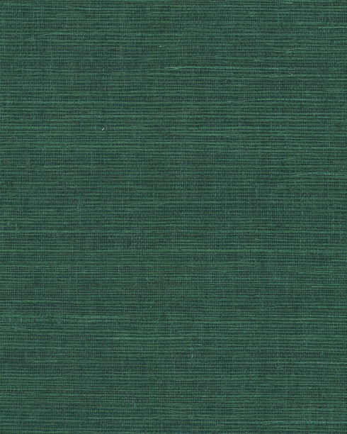 Maguey Sisal Forest Wallpaper