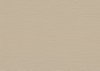 Cannete Beige Wallpaper, by York Wall, 33' length x 3'3.3" width x 0.02" depth thumbnail