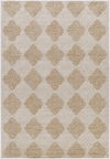 Kaya Machine Woven Rug thumbnail 0