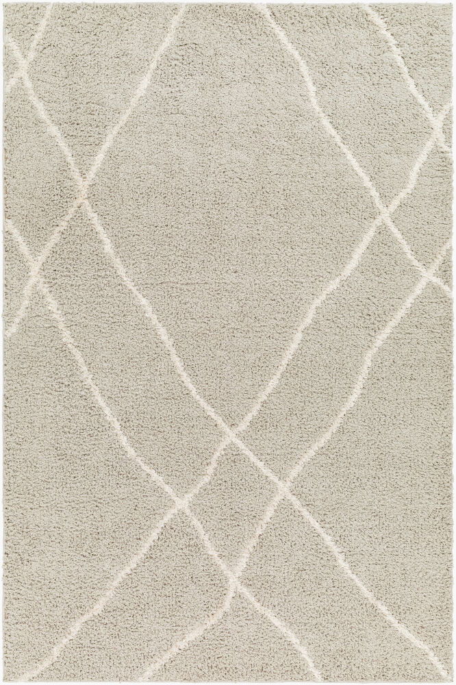 Maryland Shag Machine Woven Rug large image 