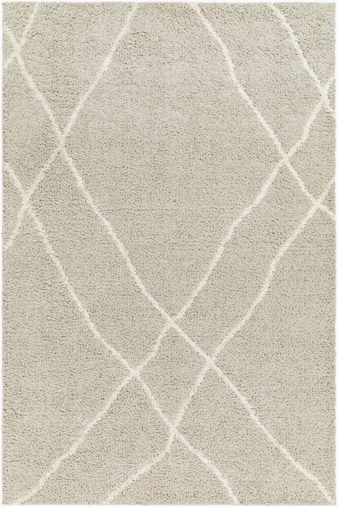 Maryland Shag Machine Woven Rug