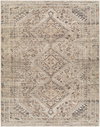 Amelie Machine Woven Rug, by Surya, 1'3.75" length x 1'3.75" width thumbnail