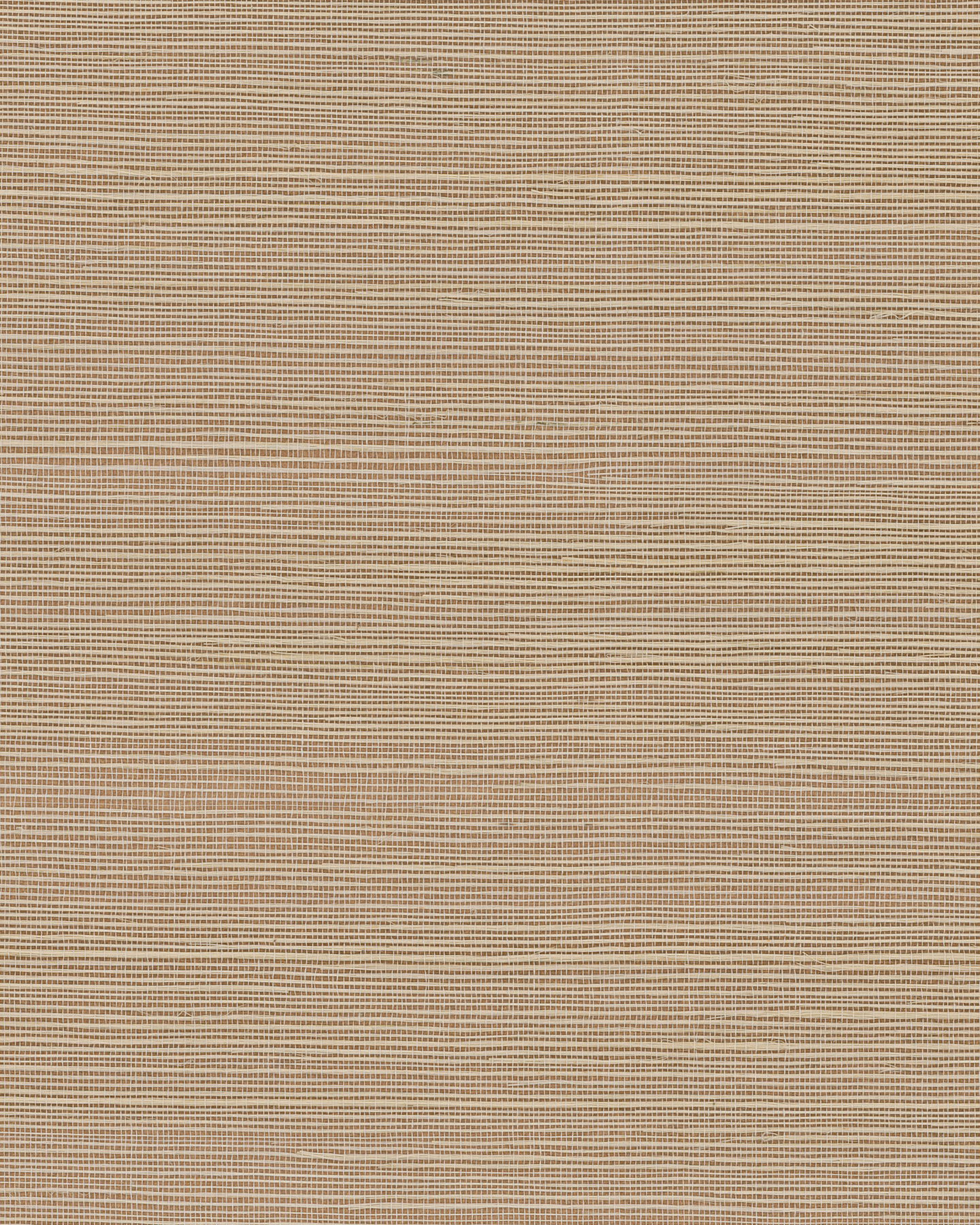 Maguey Sisal Adobe Wallpaper large image 