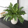 Verdure Fern In Glazed Pot, Artificial Plants & Flower by Uttermost, 18.75" width x 16.25" height x 18.75" depth thumbnail 3