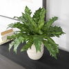 Verdure Fern In Glazed Pot, Decorative by Uttermost, 18.75" width x 16.25" height x 18.75" depth thumbnail 3