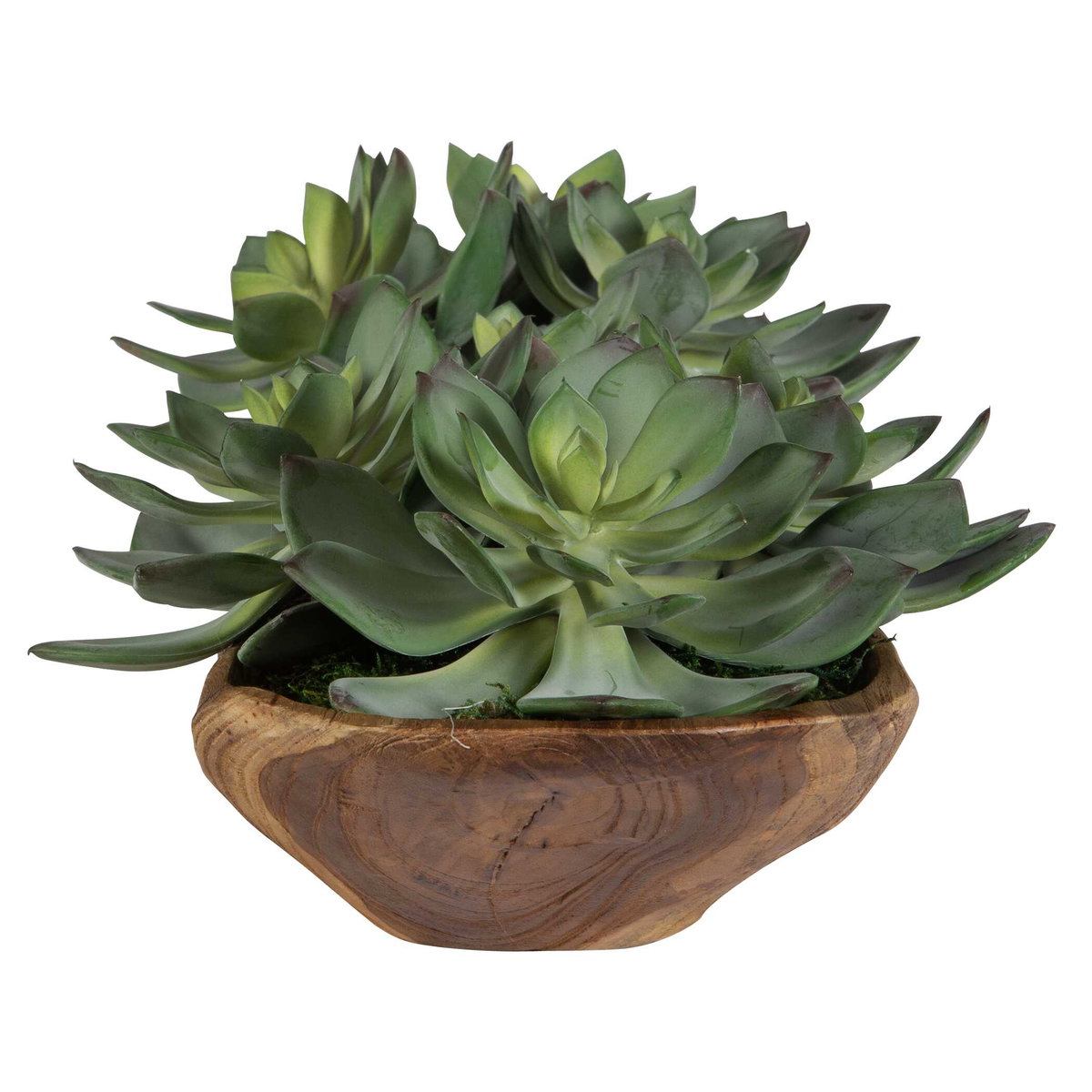 Yuma Succulent Centerpiece, Artificial Plants & Flower by Uttermost, 27" width x 8" height x 11" depth View 4
