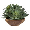 Yuma Succulent Centerpiece, Artificial Plants & Flower by Uttermost, 27" width x 8" height x 11" depth thumbnail 4